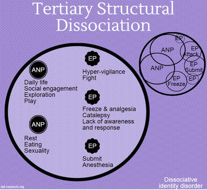 A graphic representing tertiary structural dissociation of the self. It shows a circle with multiple ANP - each containing different daily life functions - partially overlapping with multiple EP, each containing different trauma-related functions. All functions are listed out. The ANP and several EP are not given more specific labels, and three EP are labeled "Attack," "Submit," and "Freeze." Dissociative identity disorder is listed as the disorder involving tertiary SD.